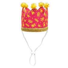 The Worthy Dog Birthday Crown Pink