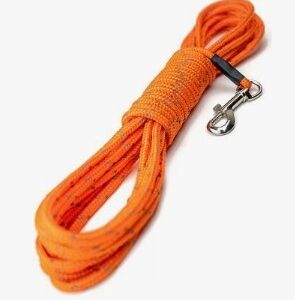 Mighty Paw 15' Leash