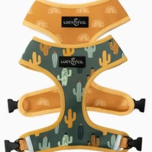 Lucy & Co. Reversable Dog Harness Looking Medium