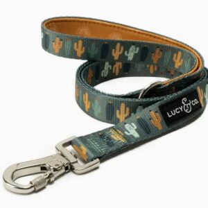 Lucy & Co. Dog Leash Looking Sharp Small