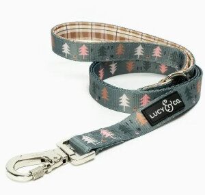 Lucy & Co. Dog Leash Take A Hike Large
