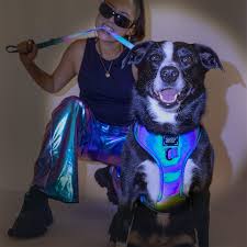 Sassy Woof Reflective dog harness XXSmall