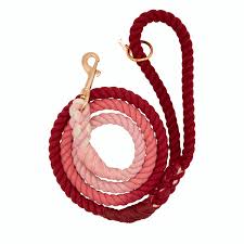 Dog Rope Leash Beloved