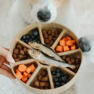 Lambwolf Collective 3 in 1 Slow Feeder Bento Bowl Tan