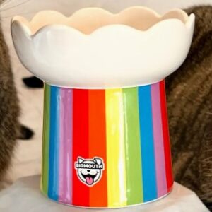 Big Mouth Inc Elevated Rainbow Bowl
