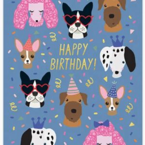 Calypso Cards Assorted