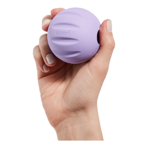 Woof Forager Flyball Purple