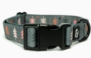 Lucy & Co. Dog Collar Take A Hike Medium