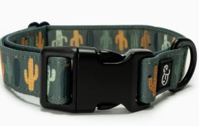 Lucy & Co. Dog Collar Looking Sharp Small