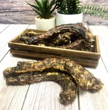 Freeze dried Goose neck