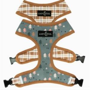 Lucy & Co. Reversable Dog Harness Take A Hike Medium