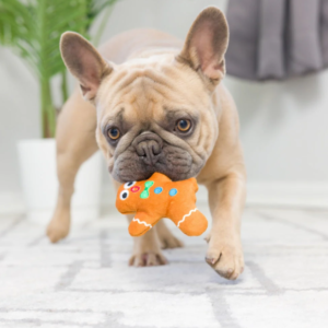 Huxley & Kent Ginger Snapped Dog Toy Large