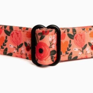 Lucy & Co Posy Pink Collar LG