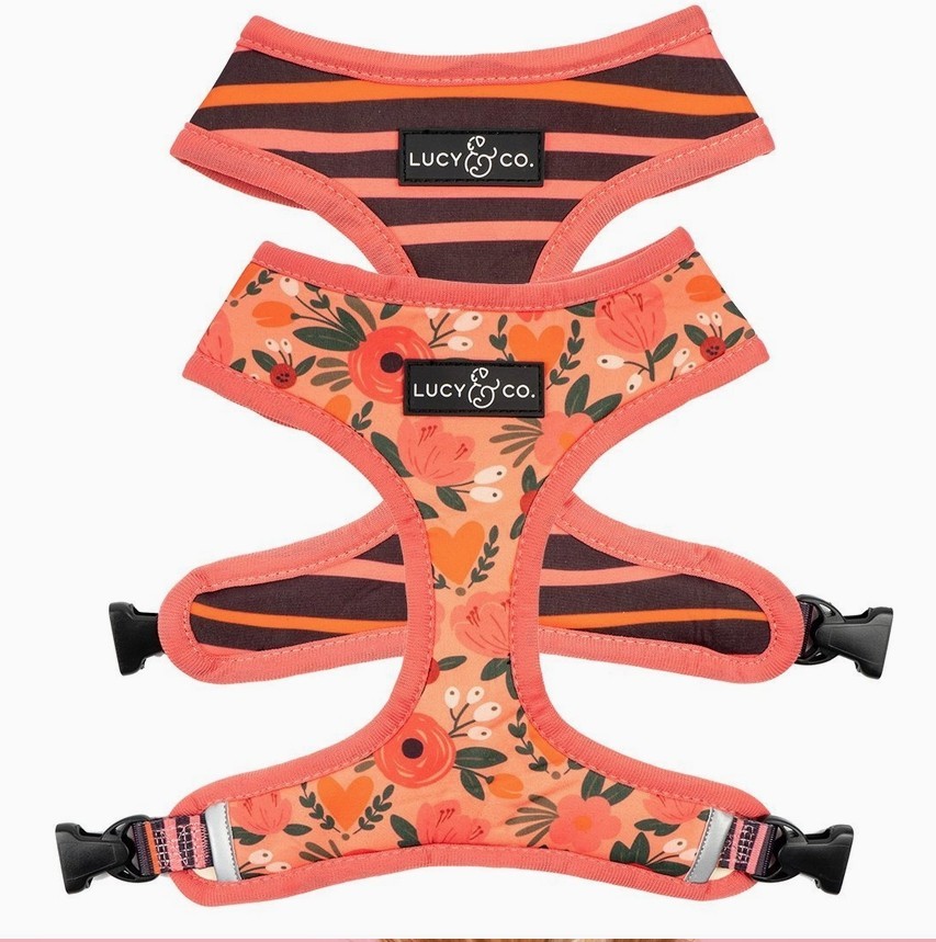 Lucy & Co Posy Pink Harness XS Lucy & Co Posy Pink Harness XS
