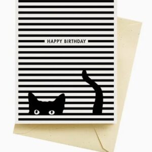 Seltzer Goods Happy Birthday Cat Stripes Card