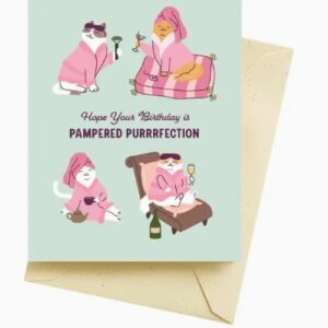 Seltzer Goods Happy Birthday Pampered Cat Card