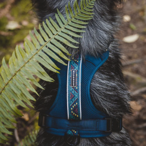 WilderDog Pacific Blue Dog Harness XL