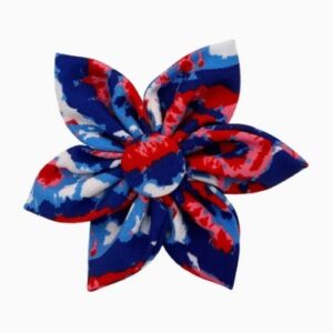 Huxley & Kent American Tie Dye Pinwheel SM