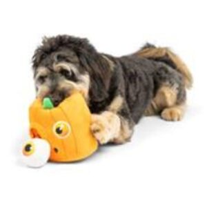 Huxley & Kent Pumpkin Pop Eye Pop N Fetch Dog Toy
