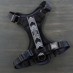 Wilderdog Black Harness XL