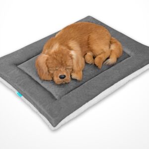 Cozy Tails Orthopedic Foam Pet Mat and Crate Mat (Black, X Large)