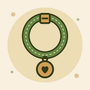 Pet Accessories