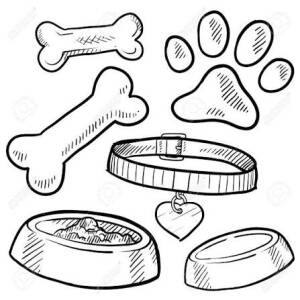 Pet Accessories